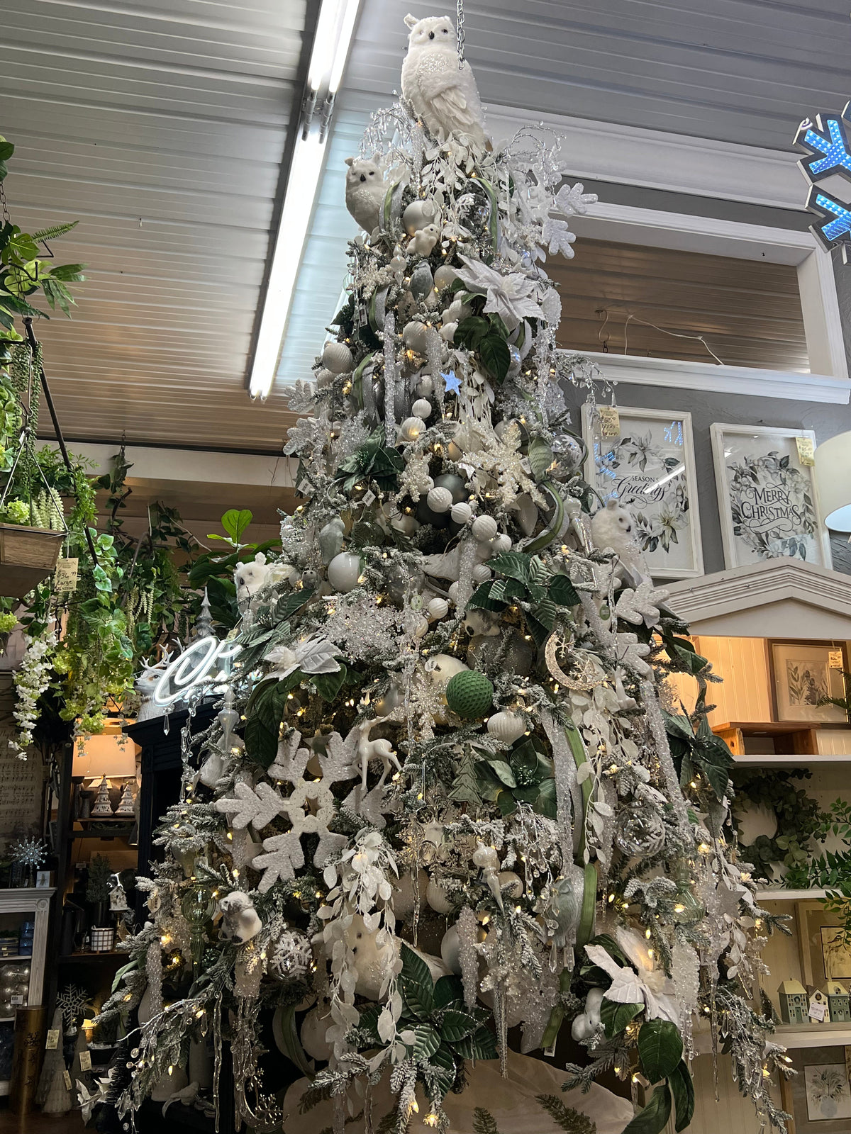 Sage and Snowfall Tree