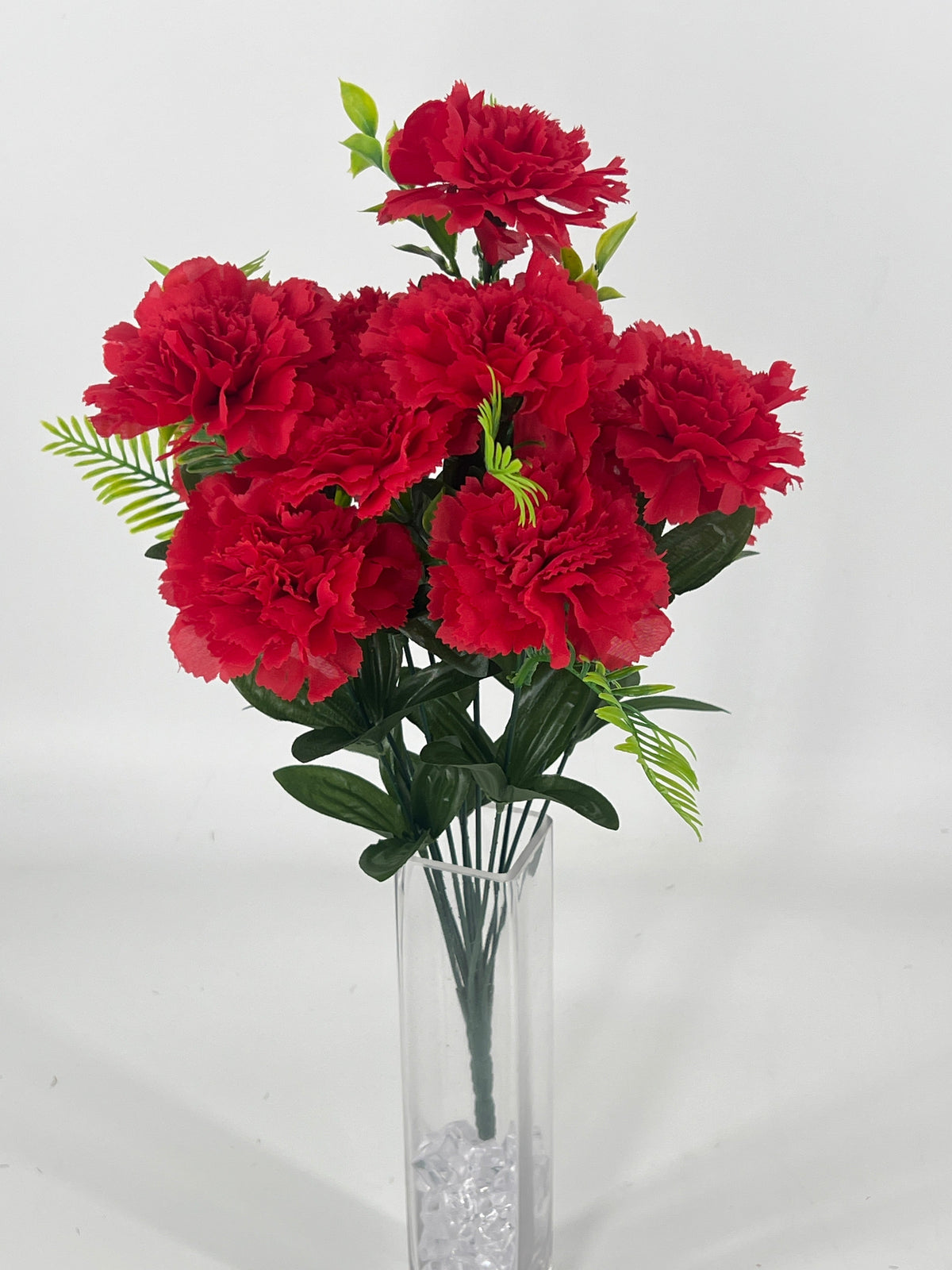 Carnations