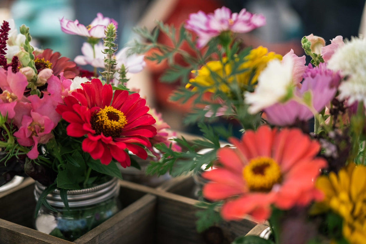 Floral Frenzy