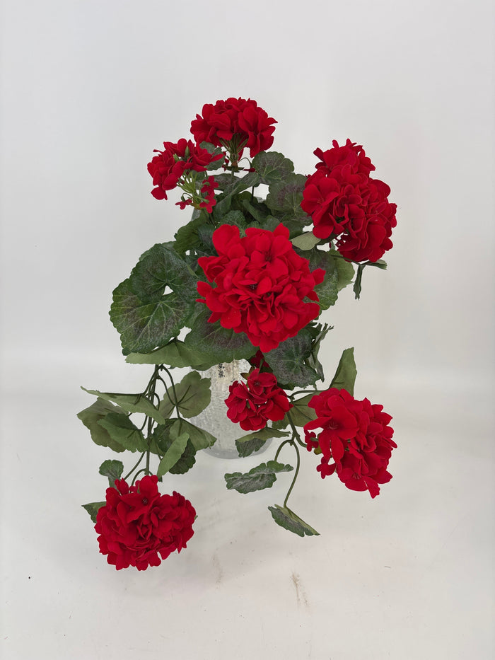 Geranium