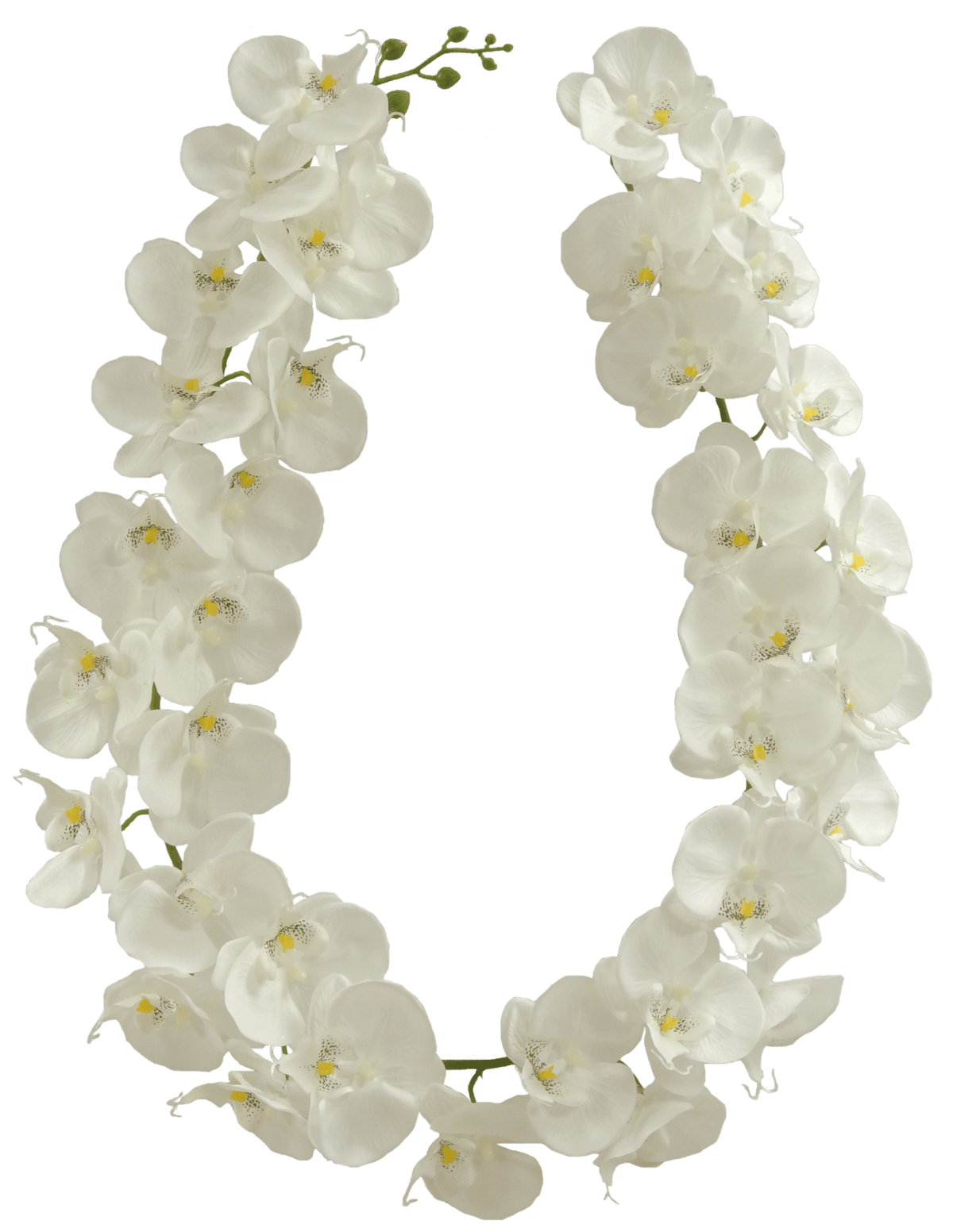 Silk Garlands