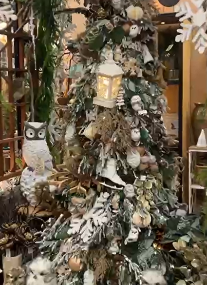 Woodland Whimsy