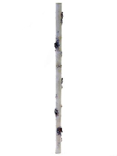 AmBest Birch Stick White 22.5" - Uncategorized Silk
