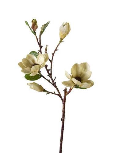 Magnolia Tree Spray Gold Silk 34-inch by AmBest featuring cream blossoms on a brown branch