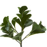 AmBest Peperomia Bush Dark Green 12" - Artificial Non-Flowering Plants Silk