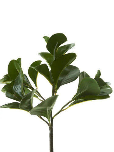 AmBest Peperomia Bush Dark Green 12" - Artificial Non-Flowering Plants Silk