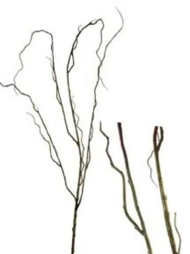 AmBest Curly Willow Branch Brown-Green 48" - Uncategorized Silk