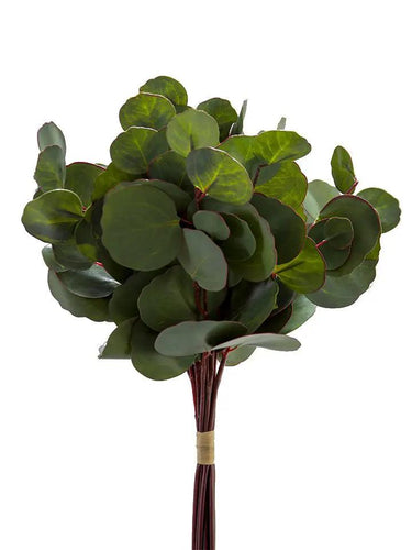 AmBest Silver Dollar Eucalyptus Bundle (x12) 17" - Uncategorized Silk