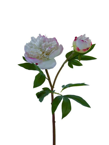 AmBest Fresh Touch Ruffled Peony Spray White Lavender 26" - Artificial Flowering Plants Silk