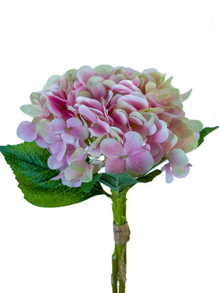 Mophead Hydrangea Bundle (x3) Pink/Cream 13.5"