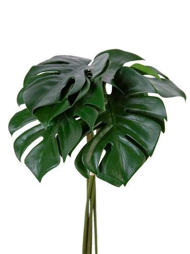 AmBest Monstera Leaf Bundle Dark Green 20.5" - Uncategorized Silk