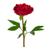 AmBest Peony Stem Burgundy 26" - Artificial Flowering Plants Silk