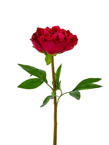AmBest Peony Stem Burgundy 26" - Artificial Flowering Plants Silk