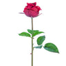 AmBest Real Touch Rose Bud Stem Crimson 23" - Silk