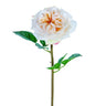 AmBest Real Touch Garden Rose Stem Light Coral 24" - Uncategorized Silk