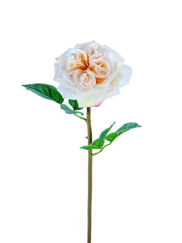 AmBest Real Touch Garden Rose Stem Light Coral 24" - Uncategorized Silk