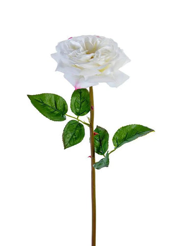 AmBest Garden Rose Stem White 24" - Artificial Flowering Plants Silk