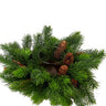 Cedar/Fir Silk candle ring in green with pinecones and a central glass holder