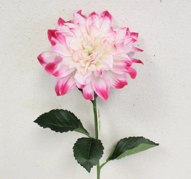 Dahlia Stem White/Beauty 27"