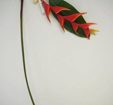 Supreme Heliconia Stem Orange 48" - Artificial Flowering Plants Silk