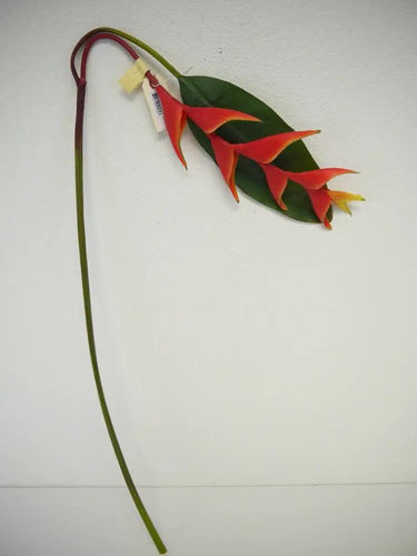 Supreme Heliconia Stem Orange 48" - Artificial Flowering Plants Silk