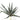Supreme Succulent Pick 10" - Uncategorized Silk