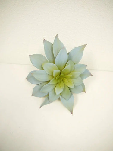 Supreme Butterfly Succulent Grey/Green - Potted Houseplants Silk