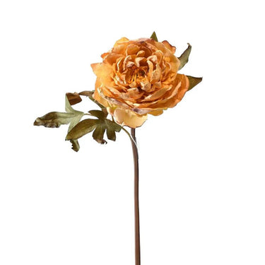 Direct Export Dried Peony Stem Yellow 22" - Uncategorized Silk