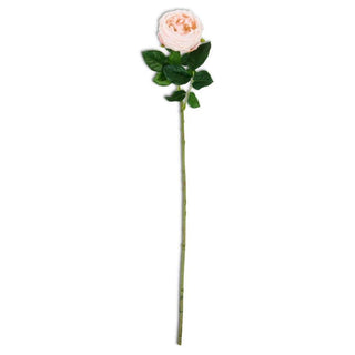 Real Touch Austin Rose Stem Peach 24"