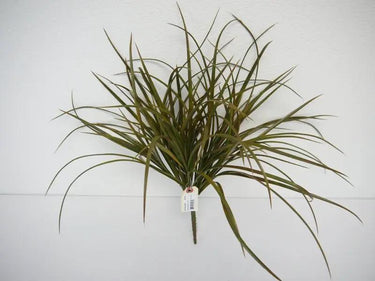 Supreme Grass Bush 20" - Artificial Non-Flowering Plants Silk