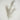 Supreme Murraya Exotica Spray Brown/White - Artificial Flowering Plants Silk