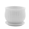 Napco Ceramic White Scalloped Pot with Saucer 4.75" x 3.75"H - Merchandise