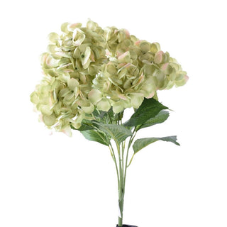 Hydrangea Bush Green-Pink 23"