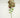 Supreme Phalaenopsis Stem Green-Burgundy 28" - Uncategorized Silk