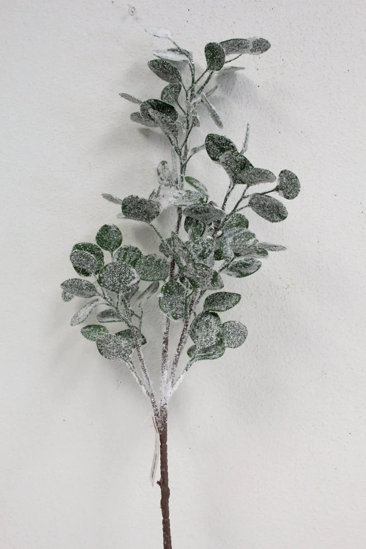 Stem