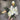 AmBest Magnolia Tree Bundle 11" - Uncategorized Silk