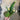 Supreme Cactus Bush 16" - Uncategorized Silk
