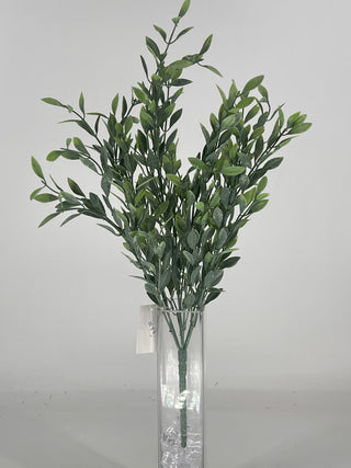 Myrtle Leaf Bush 19" Grey-Green