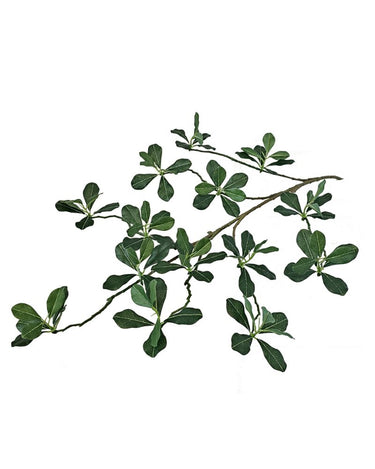 Greenhouse International Black Olive Spray 25" - Silk