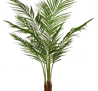 Greenhouse International Giant Areca Palm with Bark in Pot 5' - Silk