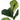Direct Export Fiddle Leaf Spray Green 33" - Artificial Non-Flowering Plants Silk