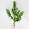 Supreme Succulent Stem Green 14" - Uncategorized Silk