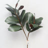 Supreme Magnolia Leaves Spray 35" - Artificial Non-Flowering Plants Silk