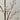 Light Garden Faceted Spray Clear - Uncategorized Silk