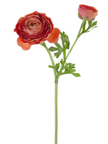 AmBest Fresh Touch Asiatic Ranunculus Stem Orange 23 " - Uncategorized Silk