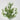 Fortune Leaves Bush Cream - Silk