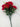 Fortune Carnation Bush Red 18” - Silk