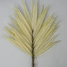 Supreme Fan Palm Spray 35'' Cream - Artificial Non-Flowering Plants Silk