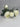 Supreme Rose Spray White 28" - Artificial Flowering Plants Silk
