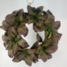 AmBest Magnolia Leaves Wreath Burgundy 28" - Silk